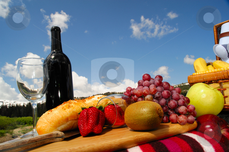 To use this stock image in your creative project, please select the size you need over to the right and click the "Add to Cart" button.
Your downloaded image will come with the Cutcaster watermark removed so don’t worry about the watermark you see on this page. Fruit and Wine picnic stock photo, A picnic in a scenic mountain setting on a bright sunny day by Lynn Bendickson