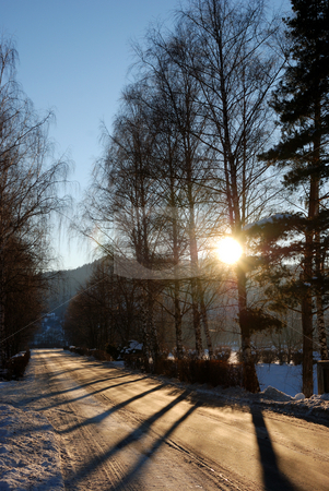 To use this stock image in your creative project, please select the size you need over to the right and click the "Add to Cart" button.
Your downloaded image will come with the Cutcaster watermark removed so don’t worry about the watermark you see on this page. Winter time stock photo, Trees from mountain in winter time by Dragos Iliescu