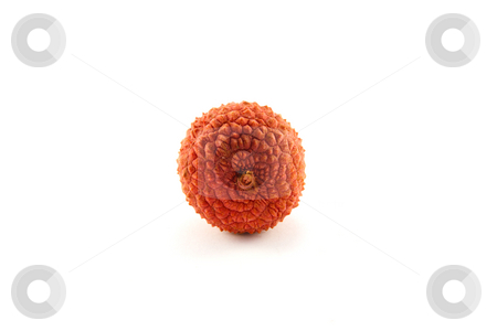 To use this stock image in your creative project, please select the size you need over to the right and click the "Add to Cart" button.
Your downloaded image will come with the Cutcaster watermark removed so don’t worry about the watermark you see on this page. Lychee stock photo, Single lychee with clipping on a white background by Keith Wilson