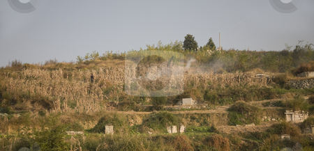 To use this stock image in your creative project, please select the size you need over to the right and click the "Add to Cart" button.
Your downloaded image will come with the Cutcaster watermark removed so don’t worry about the watermark you see on this page. Peasant Burning Fields with Graves Guizhou China stock photo, Peasants often bury their relatives in the fields in China. Peasant is burning his fields in Guizhou China with graves of his relatives around him. by William Perry
