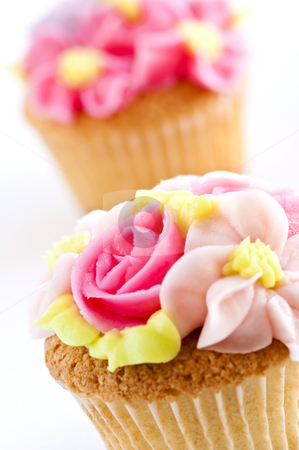 To use this stock image in your creative project, please select the size you need over to the right and click the "Add to Cart" button.
Your downloaded image will come with the Cutcaster watermark removed so don’t worry about the watermark you see on this page. Cupcakes stock photo, Row of tasty cupcakes with icing flowers by Elena Elisseeva