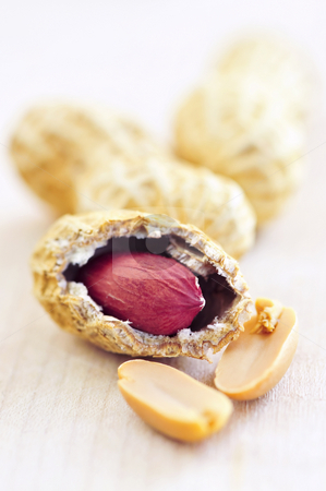 To use this stock image in your creative project, please select the size you need over to the right and click the "Add to Cart" button.
Your downloaded image will come with the Cutcaster watermark removed so don’t worry about the watermark you see on this page. Peanuts and shells stock photo, Closeup of peanuts with and without shells by Elena Elisseeva