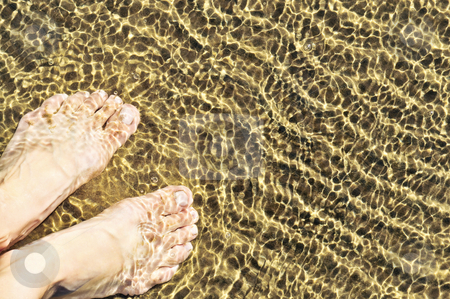 To use this stock image in your creative project, please select the size you need over to the right and click the "Add to Cart" button.
Your downloaded image will come with the Cutcaster watermark removed so don’t worry about the watermark you see on this page. Feet in shallow water stock photo, Bare feet wading in clear shallow water at sandy beach by Elena Elisseeva