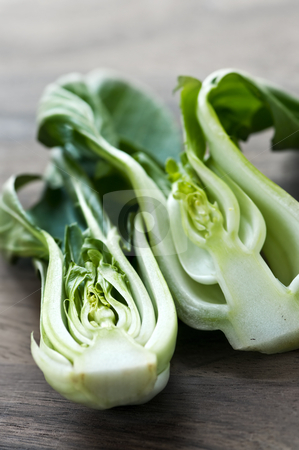 To use this stock image in your creative project, please select the size you need over to the right and click the "Add to Cart" button.
Your downloaded image will come with the Cutcaster watermark removed so don’t worry about the watermark you see on this page. Bok choy stock photo, Close up of halved green bok choy vegetable greens by Elena Elisseeva