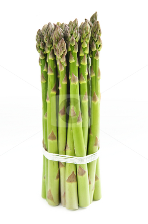 To use this stock image in your creative project, please select the size you need over to the right and click the "Add to Cart" button.
Your downloaded image will come with the Cutcaster watermark removed so don’t worry about the watermark you see on this page. Asparagus stock photo, Close up of fresh green organic asparagus by Elena Elisseeva