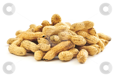 To use this stock image in your creative project, please select the size you need over to the right and click the "Add to Cart" button.
Your downloaded image will come with the Cutcaster watermark removed so don’t worry about the watermark you see on this page. Peanuts stock photo, Closeup on pile of peanuts with shells by Elena Elisseeva