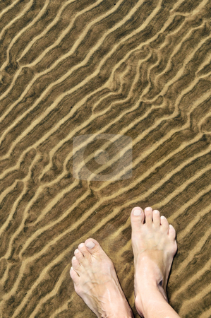 To use this stock image in your creative project, please select the size you need over to the right and click the "Add to Cart" button.
Your downloaded image will come with the Cutcaster watermark removed so don’t worry about the watermark you see on this page. Feet in shallow water stock photo, Bare feet wading in clear shallow water at sandy beach by Elena Elisseeva