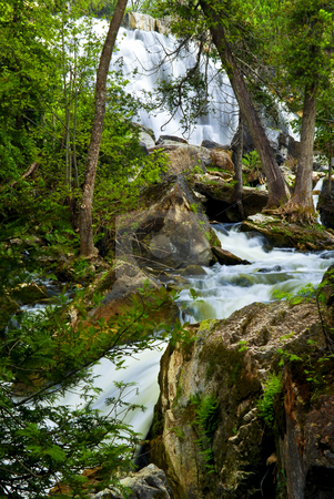 To use this stock image in your creative project, please select the size you need over to the right and click the "Add to Cart" button.
Your downloaded image will come with the Cutcaster watermark removed so don’t worry about the watermark you see on this page. River through woods stock photo, River rushing by trees after waterfall in Ontario Canada by Elena Elisseeva