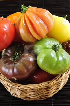 To use this stock image in your creative project, please select the size you need over to the right and click the "Add to Cart" button.
Your downloaded image will come with the Cutcaster watermark removed so don’t worry about the watermark you see on this page. Heirloom tomatoes stock photo, Wicker basket full of multi colored heirloom tomatoes by Elena Elisseeva