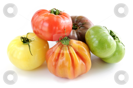 To use this stock image in your creative project, please select the size you need over to the right and click the "Add to Cart" button.
Your downloaded image will come with the Cutcaster watermark removed so don’t worry about the watermark you see on this page. Heirloom tomatoes stock photo, Multi colored heirloom tomatoes isolated on white background by Elena Elisseeva