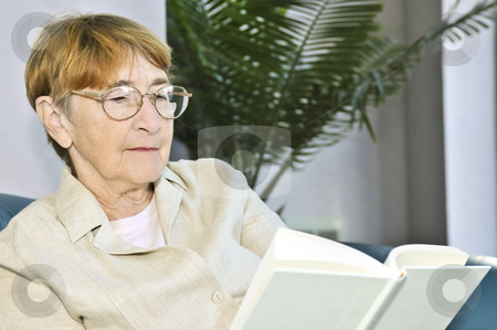 To use this stock image in your creative project, please select the size you need over to the right and click the "Add to Cart" button.
Your downloaded image will come with the Cutcaster watermark removed so don’t worry about the watermark you see on this page. Old woman reading book stock photo, Elderly woman relaxing on couch reading a book by Elena Elisseeva