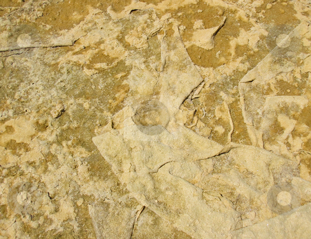 To use this stock image in your creative project, please select the size you need over to the right and click the "Add to Cart" button.
Your downloaded image will come with the Cutcaster watermark removed so don’t worry about the watermark you see on this page. Folding dry earth of a salina stock photo, Natural background texture of folding dry earth of a salina by Karin Claus