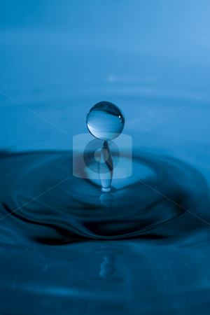 To use this stock image in your creative project, please select the size you need over to the right and click the "Add to Cart" button.
Your downloaded image will come with the Cutcaster watermark removed so don’t worry about the watermark you see on this page. Drop of Water stock photo, Drop of water bouncing back up after hitting the surface of the water by Inge Schepers