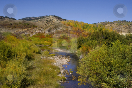 To use this stock image in your creative project, please select the size you need over to the right and click the "Add to Cart" button.
Your downloaded image will come with the Cutcaster watermark removed so don’t worry about the watermark you see on this page. Autum Stream stock photo, Mountain Stream is the fall showing autumn colors by Mark Smith