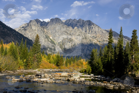To use this stock image in your creative project, please select the size you need over to the right and click the "Add to Cart" button.
Your downloaded image will come with the Cutcaster watermark removed so don’t worry about the watermark you see on this page. Grand Teton National Park stock photo, Mountain Stream in Grand Teton National Park Showing fall cokors by Mark Smith