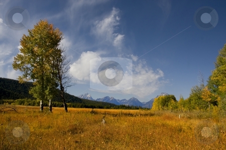 To use this stock image in your creative project, please select the size you need over to the right and click the "Add to Cart" button.
Your downloaded image will come with the Cutcaster watermark removed so don’t worry about the watermark you see on this page. Grand Tetons stock photo, View of Mt Moran in Grand Teton National Park by Mark Smith
