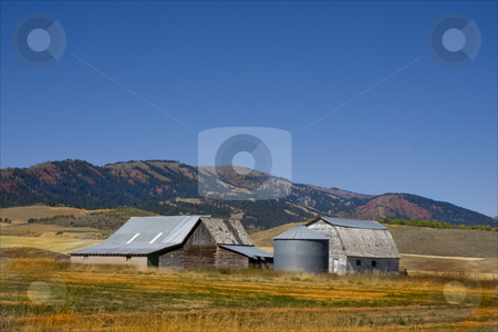 To use this stock image in your creative project, please select the size you need over to the right and click the "Add to Cart" button.
Your downloaded image will come with the Cutcaster watermark removed so don’t worry about the watermark you see on this page. Americana stock photo, Old barns in a hay field with fall colors by Mark Smith