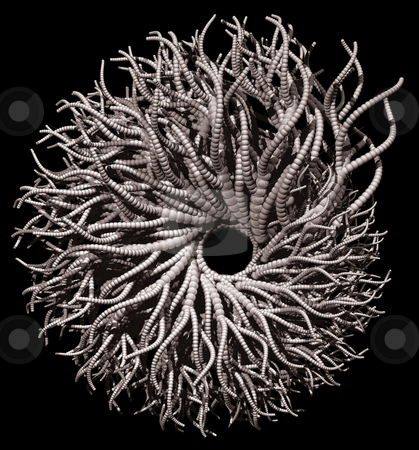 To use this stock image in your creative project, please select the size you need over to the right and click the "Add to Cart" button.
Your downloaded image will come with the Cutcaster watermark removed so don’t worry about the watermark you see on this page. Tentacles stock photo, Abstract organic form on black background - 3d illustration by J?