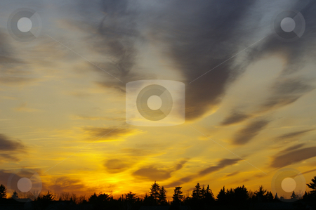 To use this stock image in your creative project, please select the size you need over to the right and click the "Add to Cart" button.
Your downloaded image will come with the Cutcaster watermark removed so don’t worry about the watermark you see on this page. Sunset stock photo, A colourful sunset with trees on the horizon by Tom Weatherhead