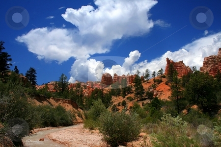 To use this stock image in your creative project, please select the size you need over to the right and click the "Add to Cart" button.
Your downloaded image will come with the Cutcaster watermark removed so don’t worry about the watermark you see on this page. Red Rock Canyon stock photo, View of the red rock formations in Bryce Canyon National Park by Mark Smith