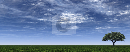 To use this stock image in your creative project, please select the size you need over to the right and click the "Add to Cart" button.
Your downloaded image will come with the Cutcaster watermark removed so don’t worry about the watermark you see on this page. Banner stock photo, Lonely tree on green field - 3d illustration by J?