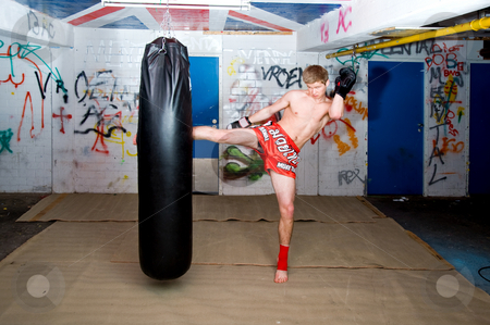 To use this stock image in your creative project, please select the size you need over to the right and click the "Add to Cart" button.
Your downloaded image will come with the Cutcaster watermark removed so don’t worry about the watermark you see on this page. High Kick stock photo, A muay thai fighter giving a high kick during a practise round with a boxing bag in an urban basement by Corepics VOF