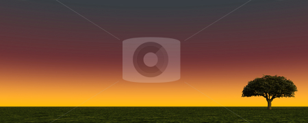 To use this stock image in your creative project, please select the size you need over to the right and click the "Add to Cart" button.
Your downloaded image will come with the Cutcaster watermark removed so don’t worry about the watermark you see on this page. Tree stock photo, Lonely tree on green field - 3d illustration by J?