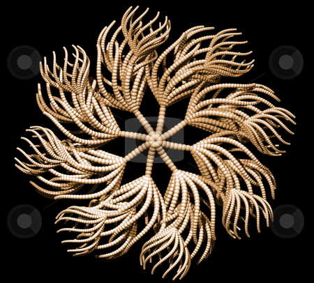 To use this stock image in your creative project, please select the size you need over to the right and click the "Add to Cart" button.
Your downloaded image will come with the Cutcaster watermark removed so don’t worry about the watermark you see on this page. Tentacles stock photo, Abstract organic form on black background - 3d illustration by J?