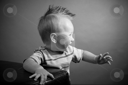 To use this stock image in your creative project, please select the size you need over to the right and click the "Add to Cart" button.
Your downloaded image will come with the Cutcaster watermark removed so don’t worry about the watermark you see on this page. Nine Month Old Boy stock photo, A portrait of a cute nine month old baby boy. by Travis Manley