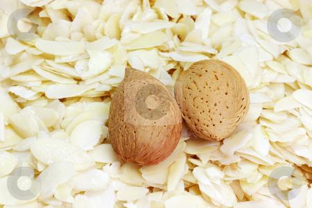 To use this stock image in your creative project, please select the size you need over to the right and click the "Add to Cart" button.
Your downloaded image will come with the Cutcaster watermark removed so don’t worry about the watermark you see on this page. Slivered almonds stock photo, A backgroud of blanched and slivered almonds by Birgit Reitz-Hofmann