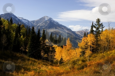 To use this stock image in your creative project, please select the size you need over to the right and click the "Add to Cart" button.
Your downloaded image will come with the Cutcaster watermark removed so don’t worry about the watermark you see on this page. Autumn Splender stock photo, High Mountain Flat in the fall showing all the fall colors with mountains in the background by Mark Smith