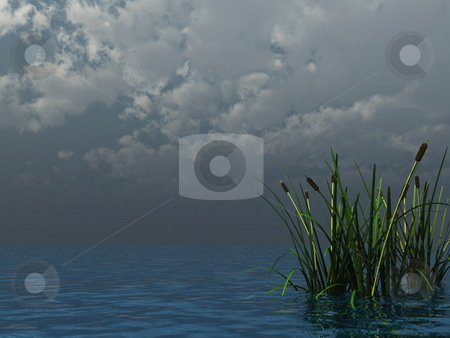 To use this stock image in your creative project, please select the size you need over to the right and click the "Add to Cart" button.
Your downloaded image will come with the Cutcaster watermark removed so don’t worry about the watermark you see on this page. Reed stock photo, Water landscape and reed - 3d illustration by J?