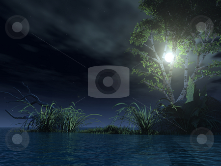 To use this stock image in your creative project, please select the size you need over to the right and click the "Add to Cart" button.
Your downloaded image will come with the Cutcaster watermark removed so don’t worry about the watermark you see on this page. At night stock photo, Water landscape with tree at night - 3d illustration by J?
