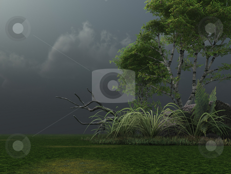 To use this stock image in your creative project, please select the size you need over to the right and click the "Add to Cart" button.
Your downloaded image will come with the Cutcaster watermark removed so don’t worry about the watermark you see on this page. Stormy clouds stock photo, Birch and stormy clouds - 3d illustration by J?