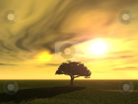 To use this stock image in your creative project, please select the size you need over to the right and click the "Add to Cart" button.
Your downloaded image will come with the Cutcaster watermark removed so don’t worry about the watermark you see on this page. Tree stock photo, Tree at a surreal landscape - 3d illustration by J?