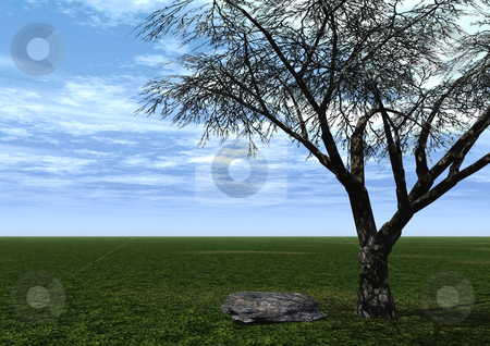 To use this stock image in your creative project, please select the size you need over to the right and click the "Add to Cart" button.
Your downloaded image will come with the Cutcaster watermark removed so don’t worry about the watermark you see on this page. Tree and stone stock photo, A tree and a stone on a green field and blue sky by J?