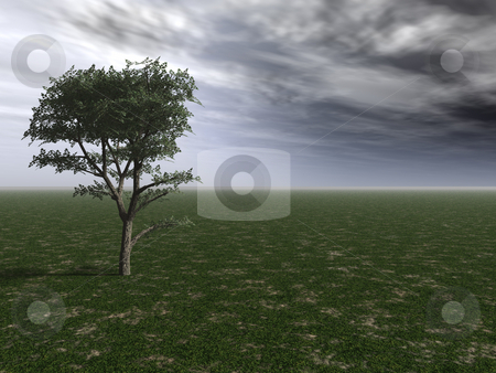 To use this stock image in your creative project, please select the size you need over to the right and click the "Add to Cart" button.
Your downloaded image will come with the Cutcaster watermark removed so don’t worry about the watermark you see on this page. Before the storm stock photo, Lonely tree and a cloudy sky - 3d illustration by J?