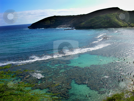 To use this stock image in your creative project, please select the size you need over to the right and click the "Add to Cart" button.
Your downloaded image will come with the Cutcaster watermark removed so don’t worry about the watermark you see on this page. Hanamu Bay, Oahu, Hawaii stock photo, Hanamu Bay, Oahu, Hawaii Snorkeling in Hanamu Bay by William Perry