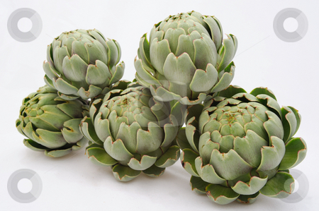 To use this stock image in your creative project, please select the size you need over to the right and click the "Add to Cart" button.
Your downloaded image will come with the Cutcaster watermark removed so don’t worry about the watermark you see on this page. Artichoke stock photo, Five globe artichokes with leaves partially opened on a light colored background. by Lynn Bendickson