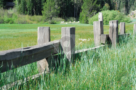 To use this stock image in your creative project, please select the size you need over to the right and click the "Add to Cart" button.
Your downloaded image will come with the Cutcaster watermark removed so don’t worry about the watermark you see on this page. Split Rail Fence stock photo, Old fence creating a barrier to a green meadow in the forest by Lynn Bendickson