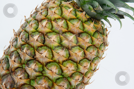 To use this stock image in your creative project, please select the size you need over to the right and click the "Add to Cart" button.
Your downloaded image will come with the Cutcaster watermark removed so don’t worry about the watermark you see on this page. Pineapple Close-up stock photo, A close view of a tropical pineapple all the detail and color of the fruit by Lynn Bendickson