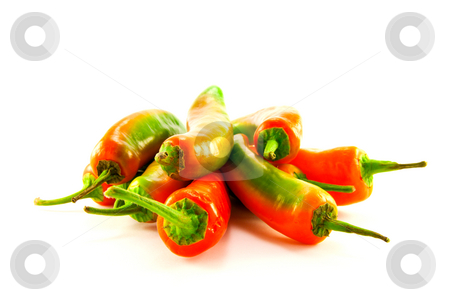 To use this stock image in your creative project, please select the size you need over to the right and click the "Add to Cart" button.
Your downloaded image will come with the Cutcaster watermark removed so don’t worry about the watermark you see on this page. Pile of Chillis stock photo, Pile of red and green chillis with clipping path on a white background by Keith Wilson