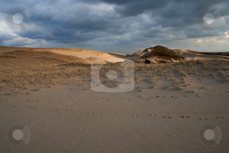 To use this stock image in your creative project, please select the size you need over to the right and click the "Add to Cart" button.
Your downloaded image will come with the Cutcaster watermark removed so don’t worry about the watermark you see on this page. Cape Cod Footprints in Sand Dunes National Seashore Provincetown stock photo, Cape Cod Foodprints in Sand Dunes National Seashore Provincetown, Massachusetts by William Perry