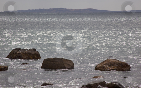 To use this stock image in your creative project, please select the size you need over to the right and click the "Add to Cart" button.
Your downloaded image will come with the Cutcaster watermark removed so don’t worry about the watermark you see on this page. Cuttyhunk Island from Westport Massachusetts Ocean Seagull Rocks stock photo, Cuttyhunk Island from Westport Massachusetts Ocean Rocks Seagull by William Perry