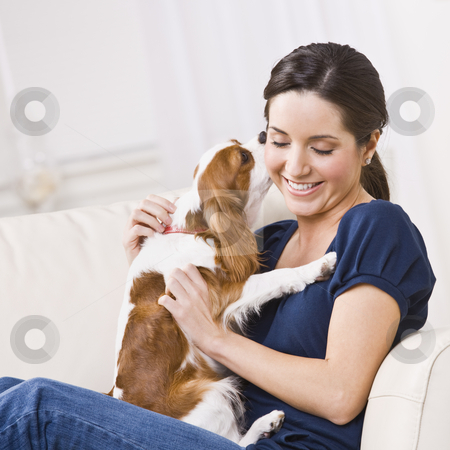 To use this stock image in your creative project, please select the size you need over to the right and click the "Add to Cart" button.
Your downloaded image will come with the Cutcaster watermark removed so don’t worry about the watermark you see on this page. Dog Kissing Woman stock photo, An attractive young woman sitting on a couch and being kissed by a dog that she is holding. She is smiling and her eyes are closed. Square framed photo. by Jonathan Ross