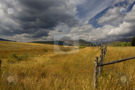 To use this stock image in your creative project, please select the size you need over to the right and click the "Add to Cart" button.
Your downloaded image will come with the Cutcaster watermark removed so don’t worry about the watermark you see on this page. Storm stock photo, Farm with a storm comeing in with blue skys by Mark Smith