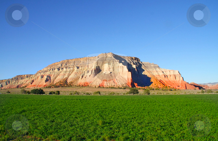 To use this stock image in your creative project, please select the size you need over to the right and click the "Add to Cart" button.
Your downloaded image will come with the Cutcaster watermark removed so don’t worry about the watermark you see on this page. Redrock Farm 2 stock photo, View of a hay Field with red rock mountain in the background by Mark Smith