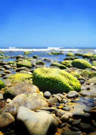 To use this stock image in your creative project, please select the size you need over to the right and click the "Add to Cart" button.
Your downloaded image will come with the Cutcaster watermark removed so don’t worry about the watermark you see on this page. Stone Beach stock photo, Stone beach with green stones and the ocean in the background. by Henrik Lehnerer