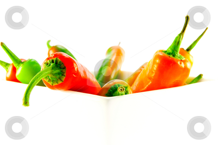 To use this stock image in your creative project, please select the size you need over to the right and click the "Add to Cart" button.
Your downloaded image will come with the Cutcaster watermark removed so don’t worry about the watermark you see on this page. White Bowl of Chillis stock photo, Red and green chillis in a white square bowl with clipping path on a white background by Keith Wilson
