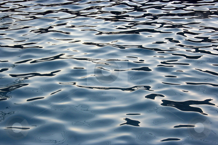To use this stock image in your creative project, please select the size you need over to the right and click the "Add to Cart" button.
Your downloaded image will come with the Cutcaster watermark removed so don’t worry about the watermark you see on this page. Active Water stock photo, A clear shot of pool water. Great background picture. by Brandon Seidel